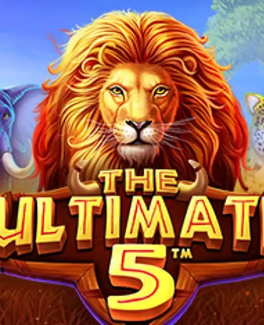 The Ultimate 5 game cover image by betfouders