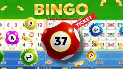 Bingo 37 game cover image by betfouders