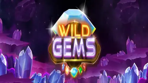 Wild Gems game cover image by betfouders