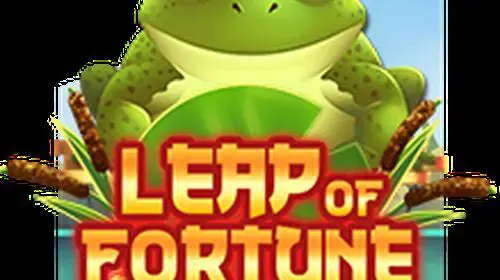 Leap of Fortune game cover image by betfouders