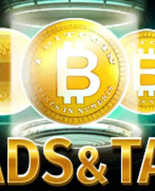 Heads and Tails game cover image by betfouders