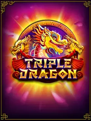 Triple Dragon game cover image by betfouders