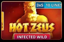 Hot Zeus game cover image by betfouders
