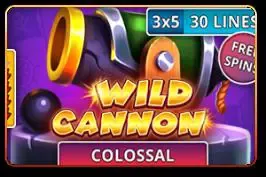 Wild Cannon game cover image by betfouders