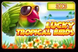 Lucky Tropical Birds (3x3) game cover image by betfouders